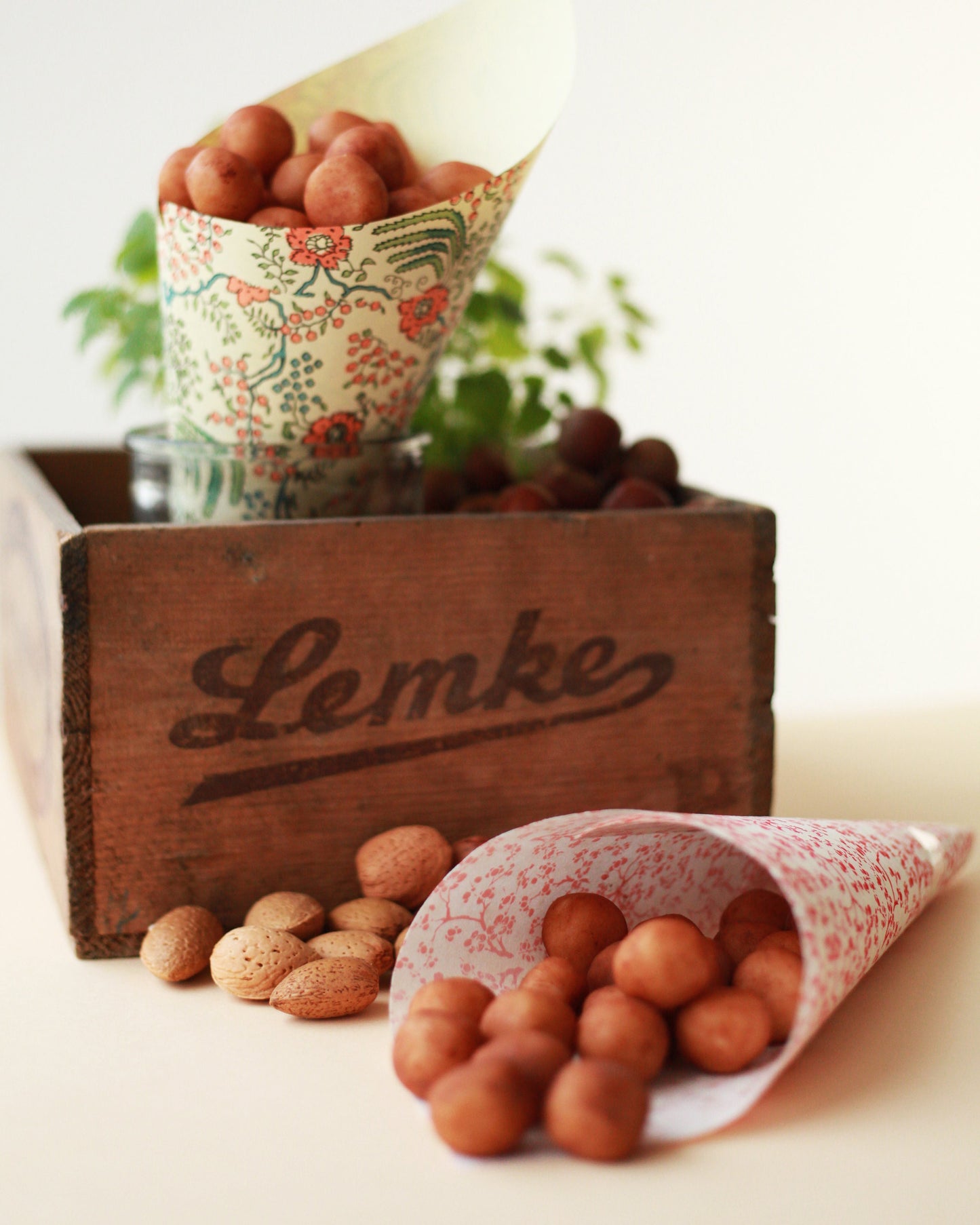 Marzipan Simply Pure 1kg