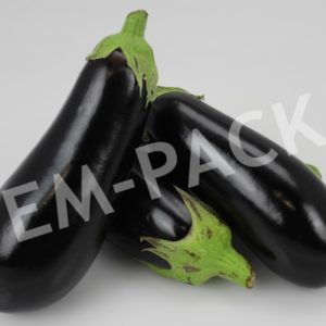 AUBERGINE